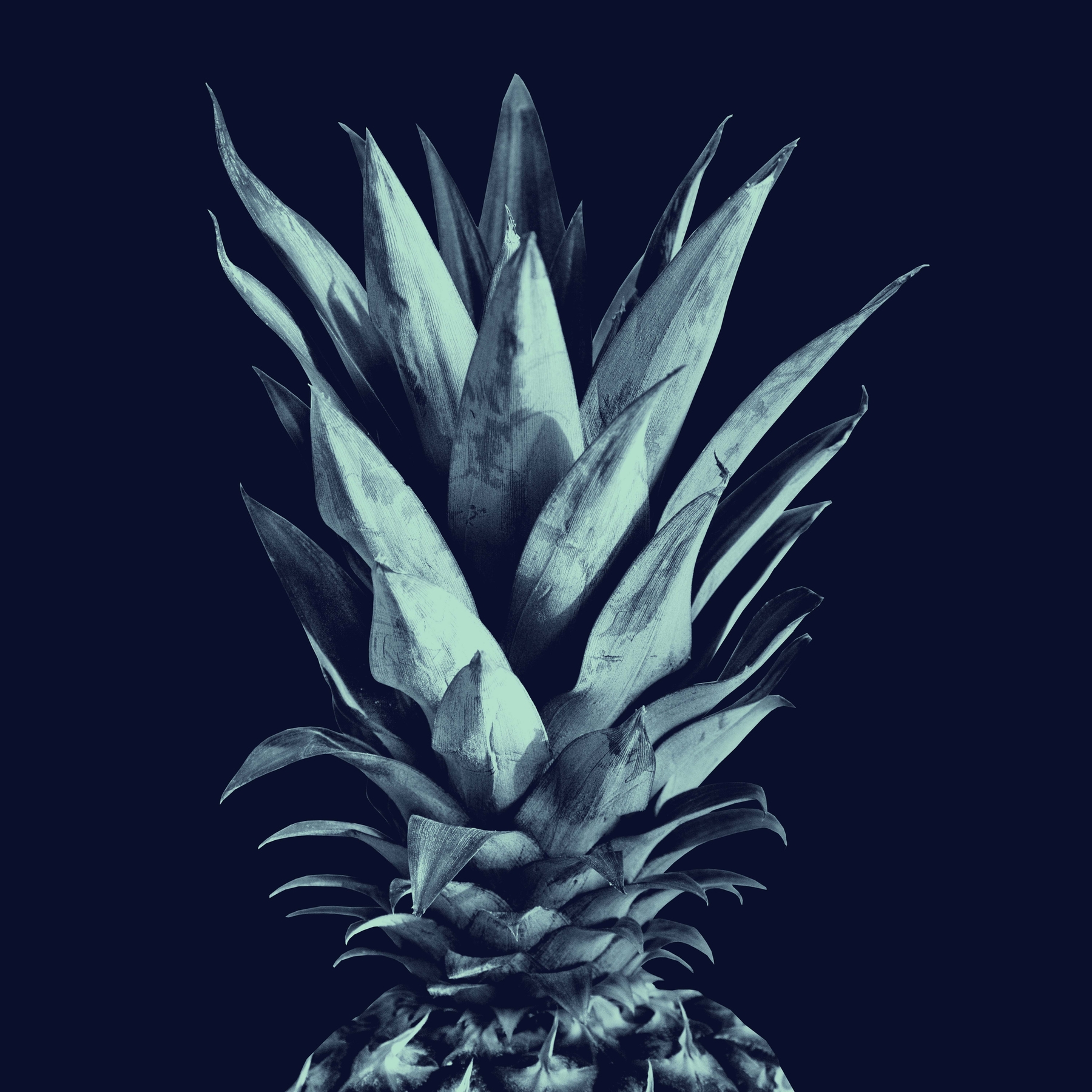 Blue Pineapple Wallpapers