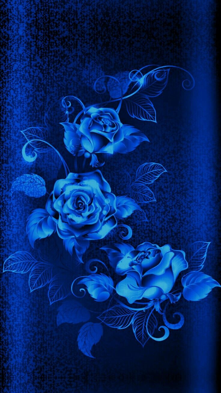 Blue Rose Wallpapers