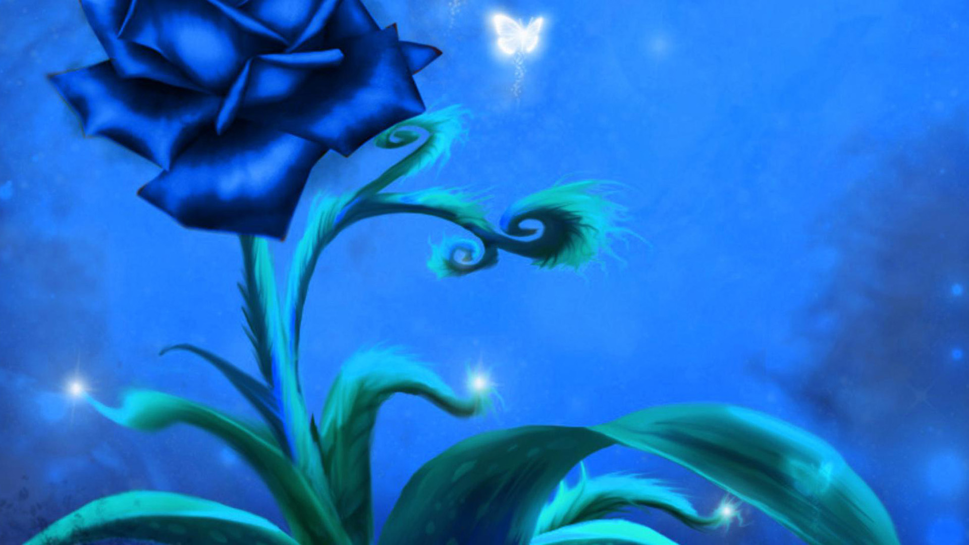 Blue Rose Wallpapers