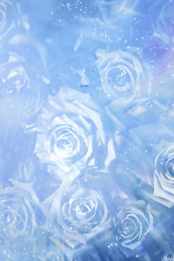 Blue Roses Aesthetic Wallpapers