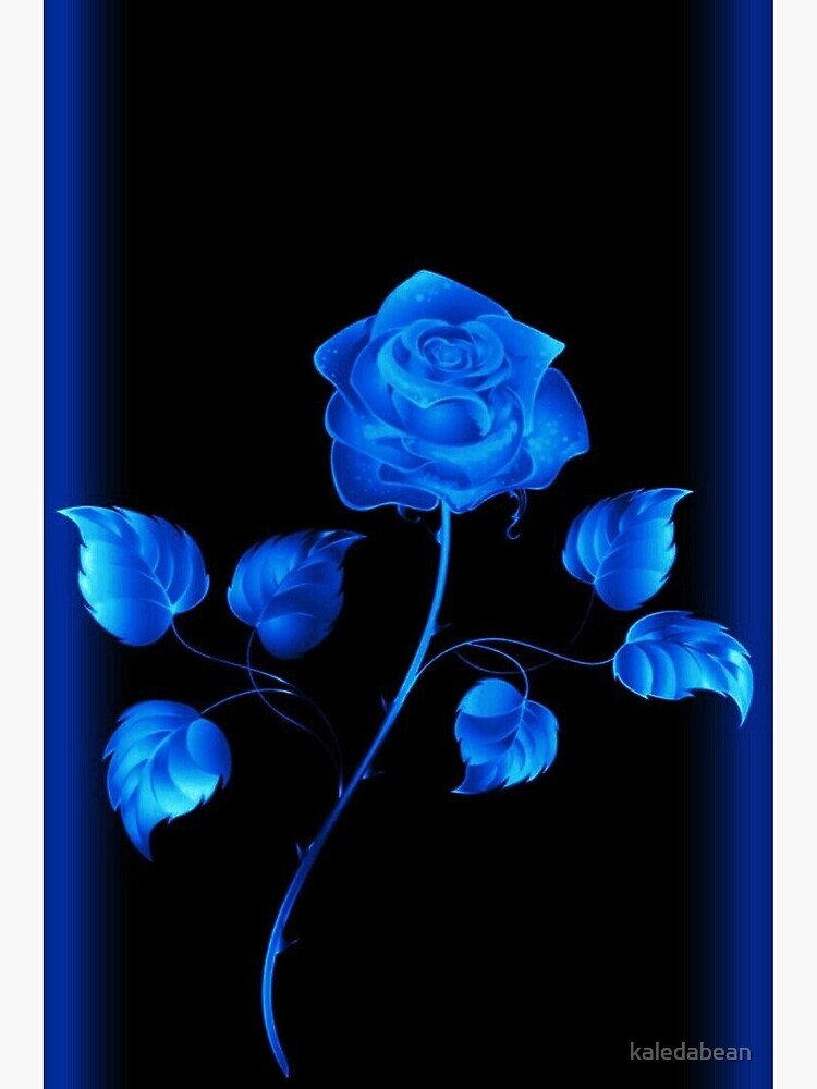 Blue Roses Aesthetic Wallpapers