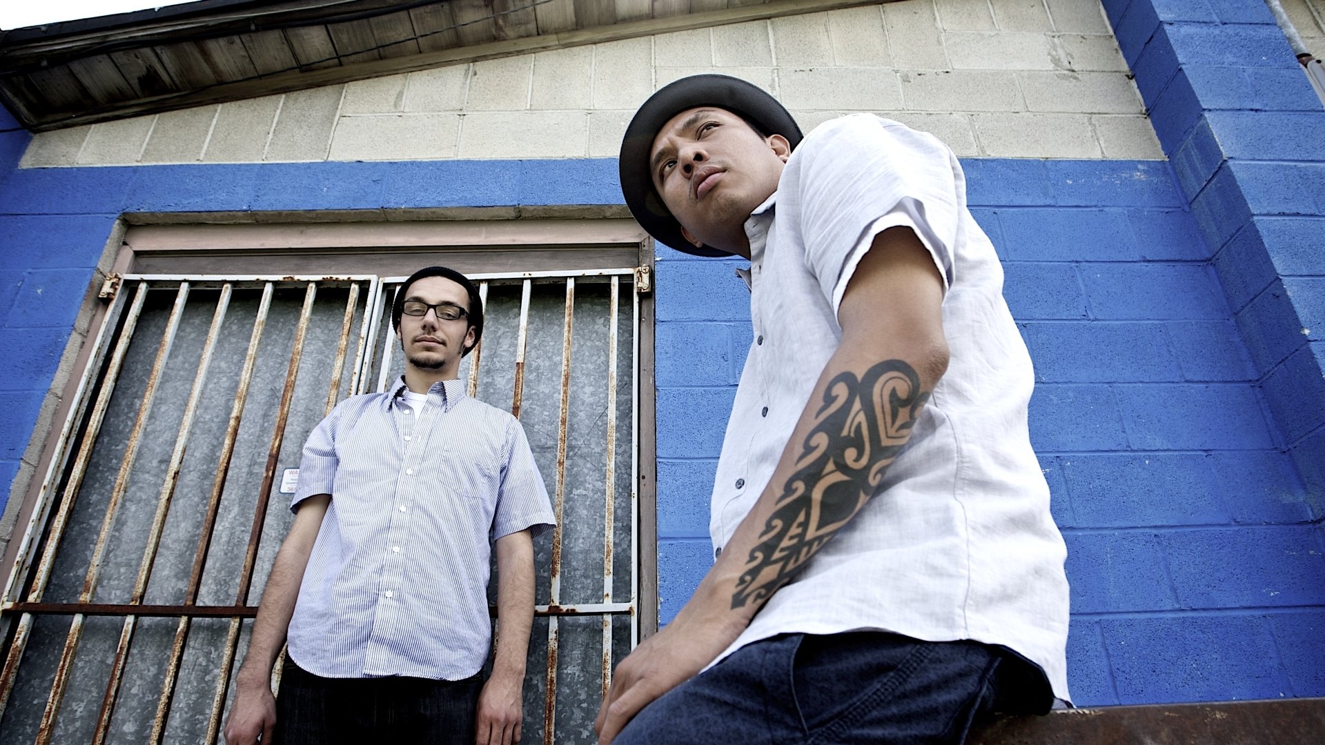 Blue Scholars Wallpapers