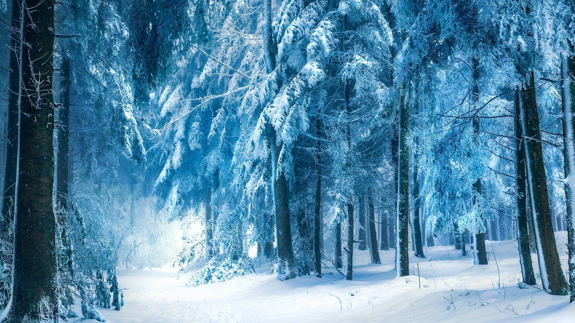 Blue Snow Wallpapers