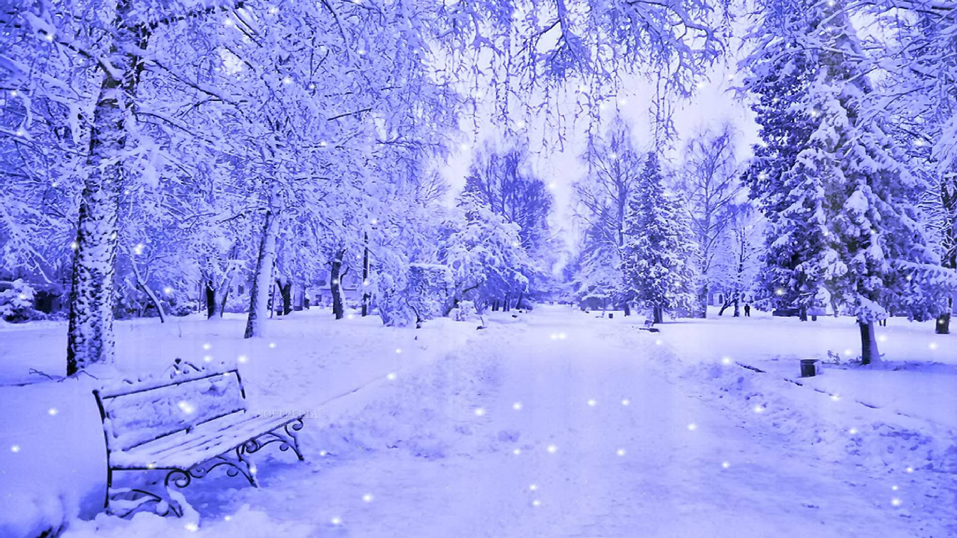 Blue Snow Wallpapers