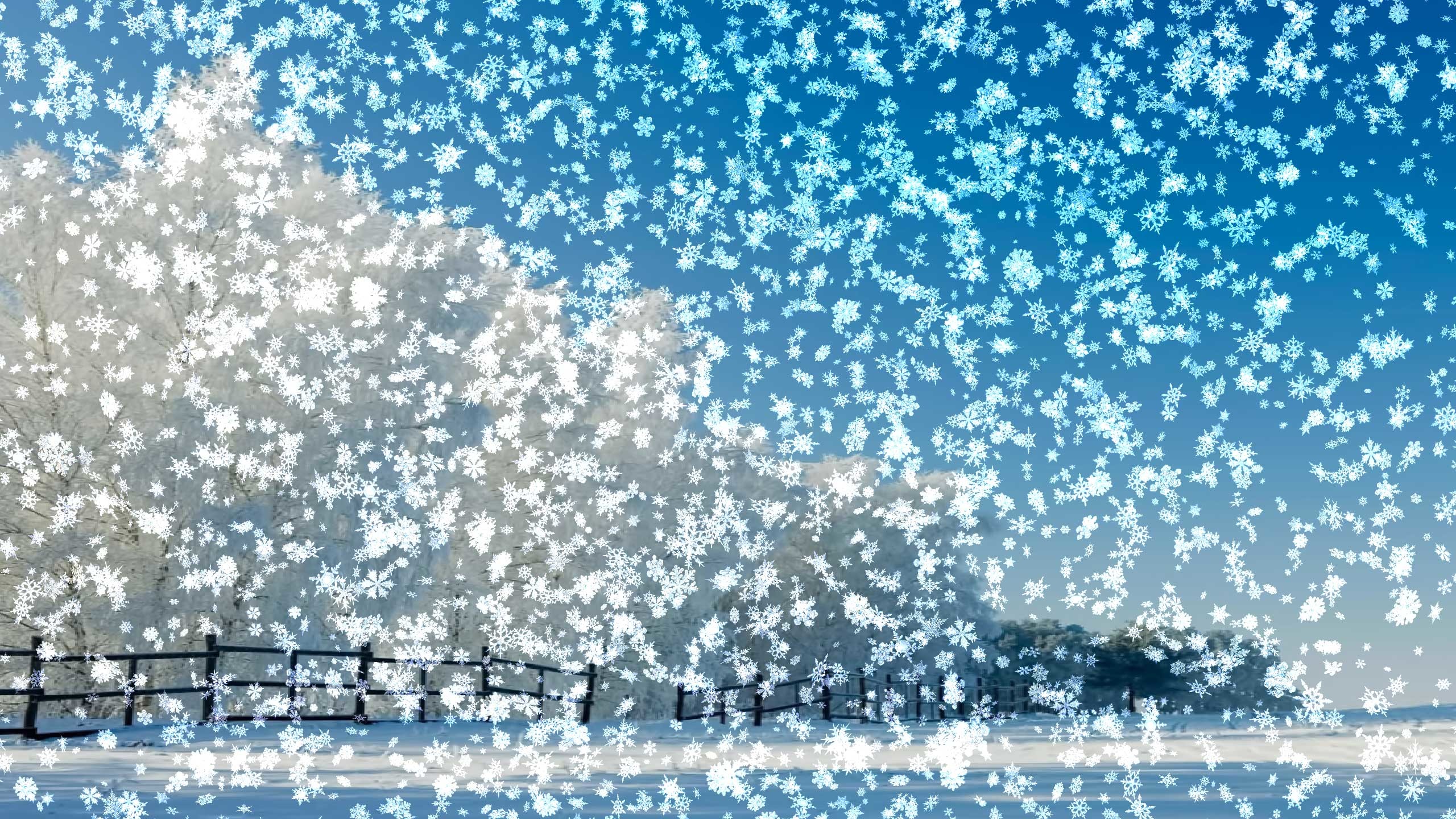 Blue Snow Wallpapers