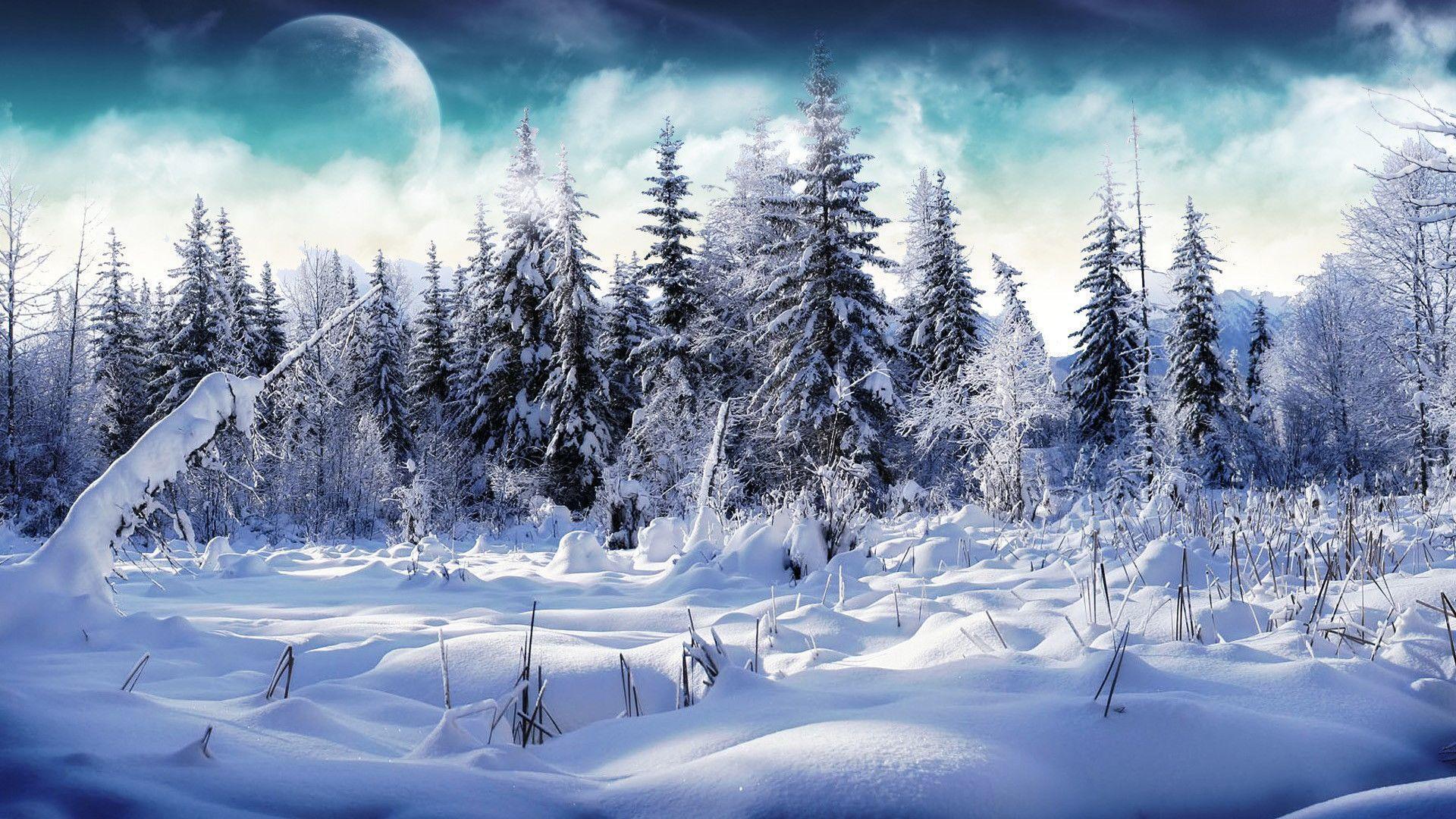 Blue Snow Wallpapers