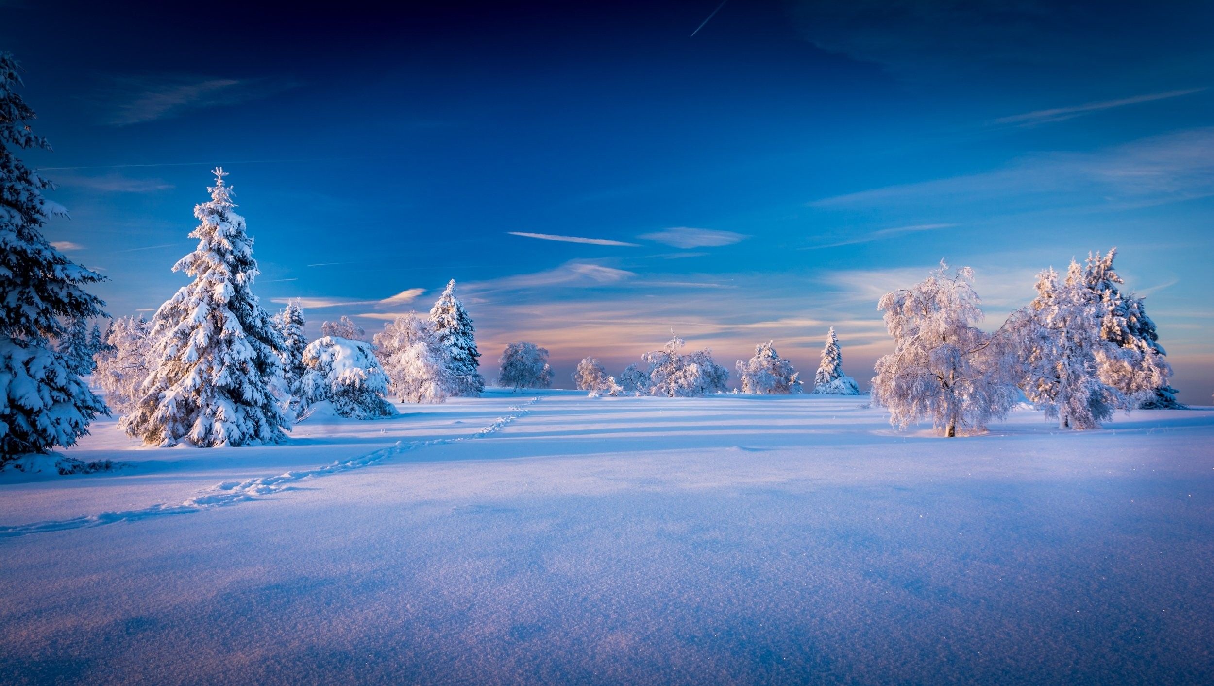 Blue Snow Wallpapers