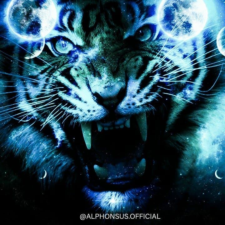 Blue Tiger Wallpapers