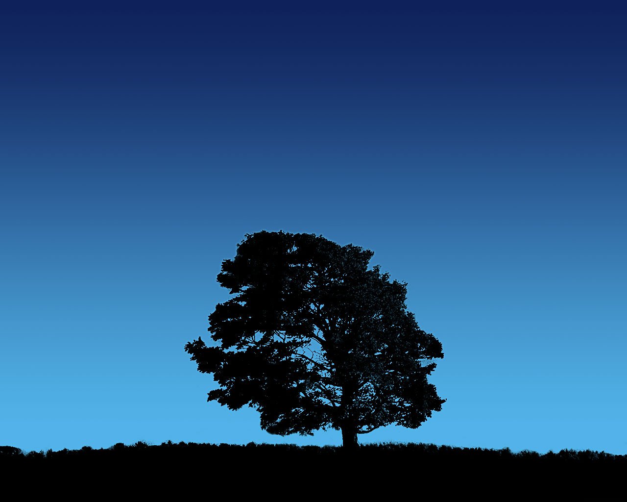 Blue Trees Wallpapers