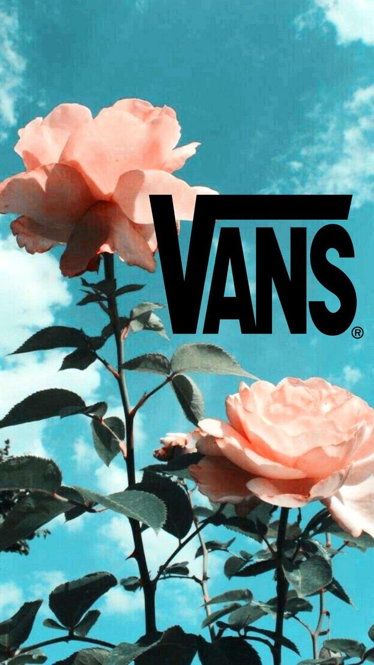 Blue Vans Aesthetic Wallpapers