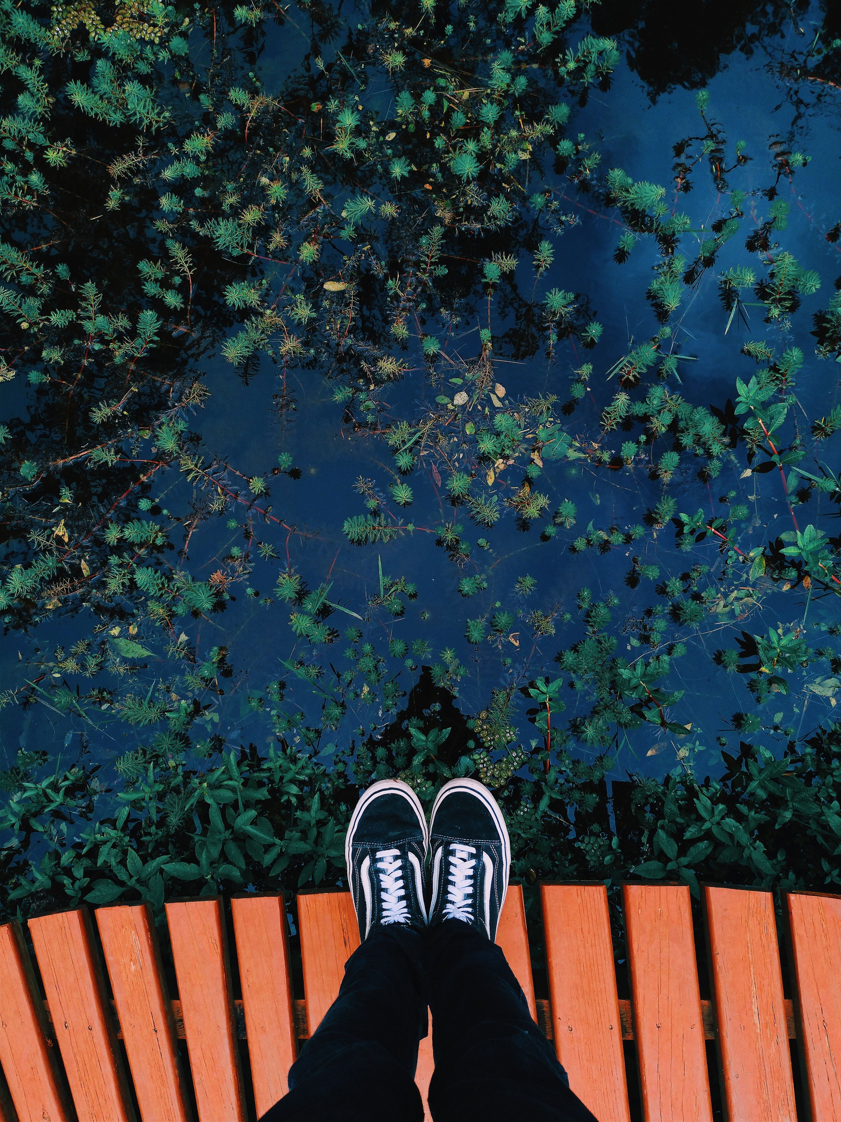 Blue Vans Aesthetic Wallpapers