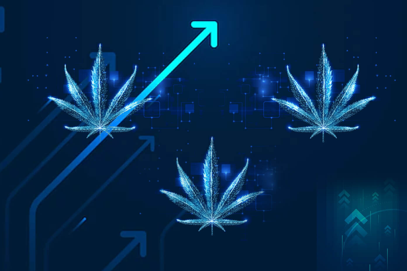 Blue Weed Wallpapers