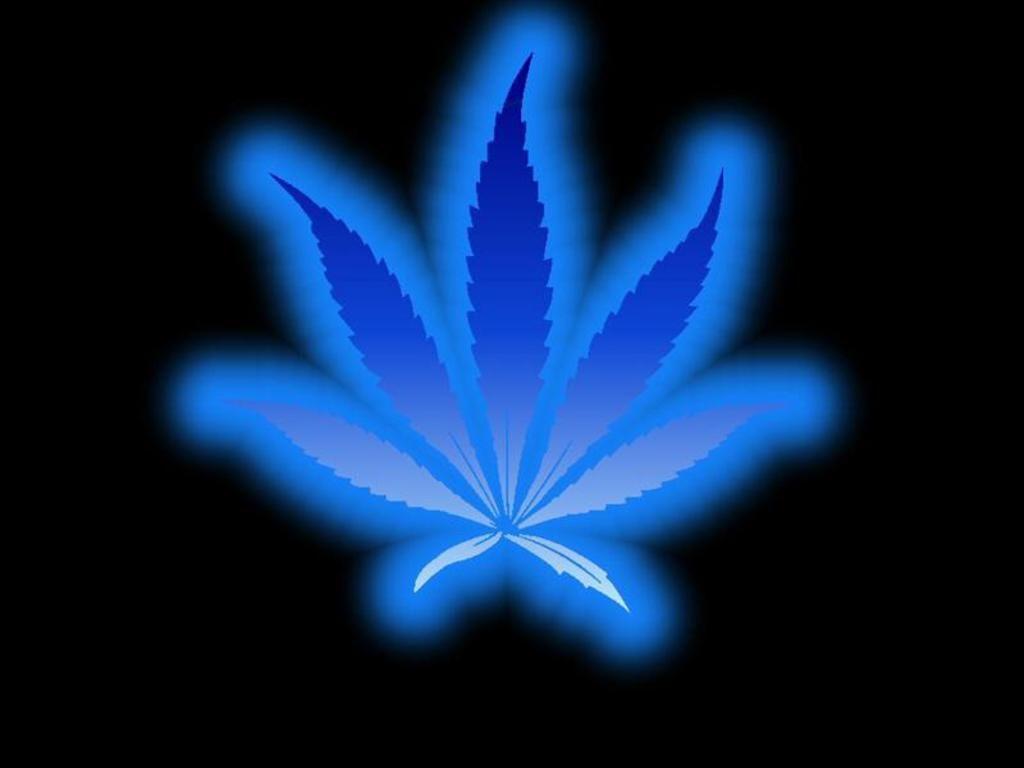 Blue Weed Wallpapers