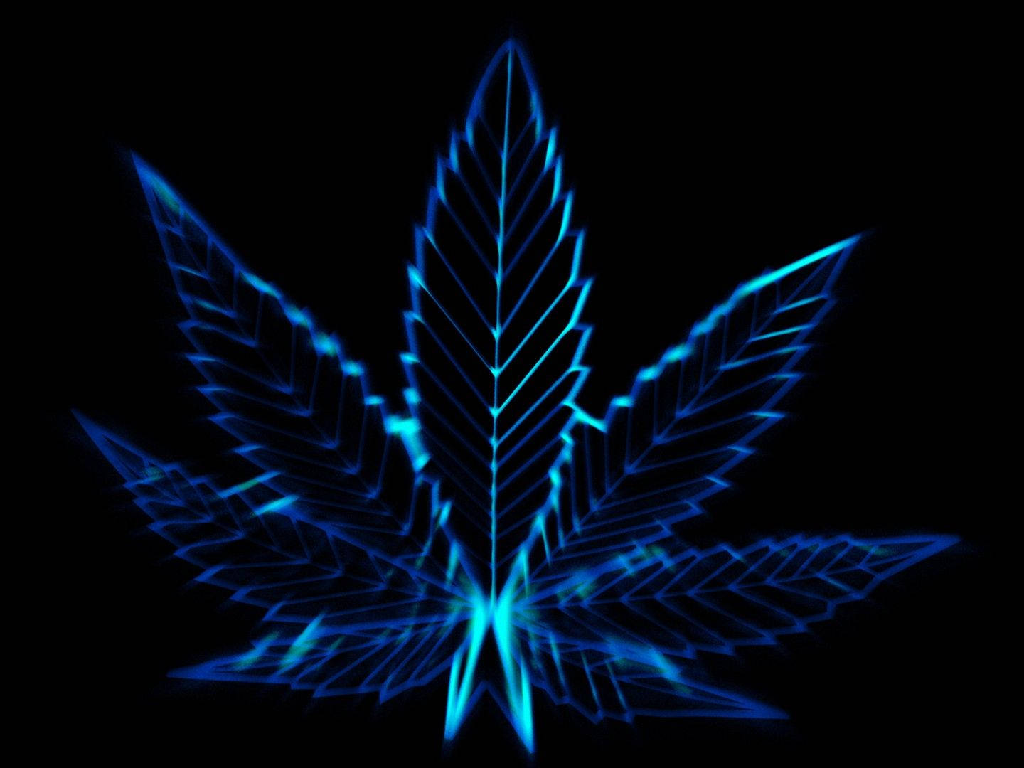 Blue Weed Wallpapers