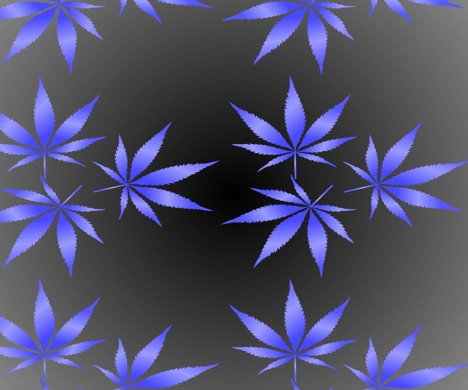 Blue Weed Wallpapers