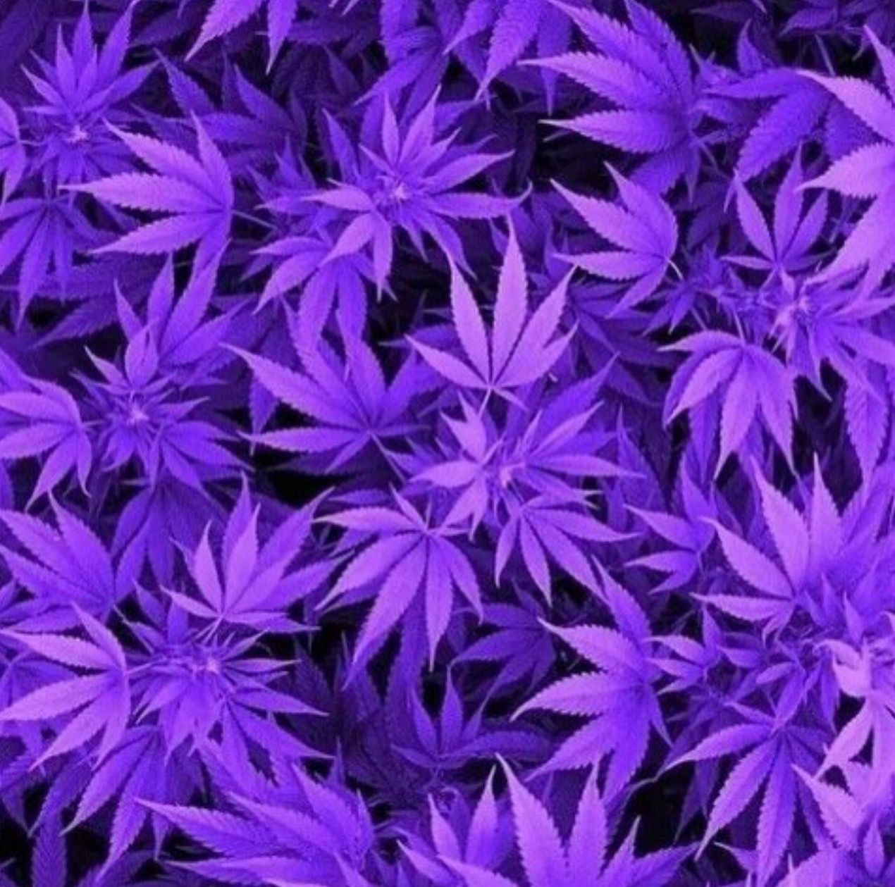 Blue Weed Wallpapers