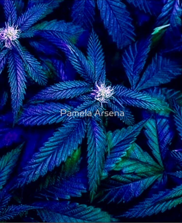 Blue Weed Wallpapers