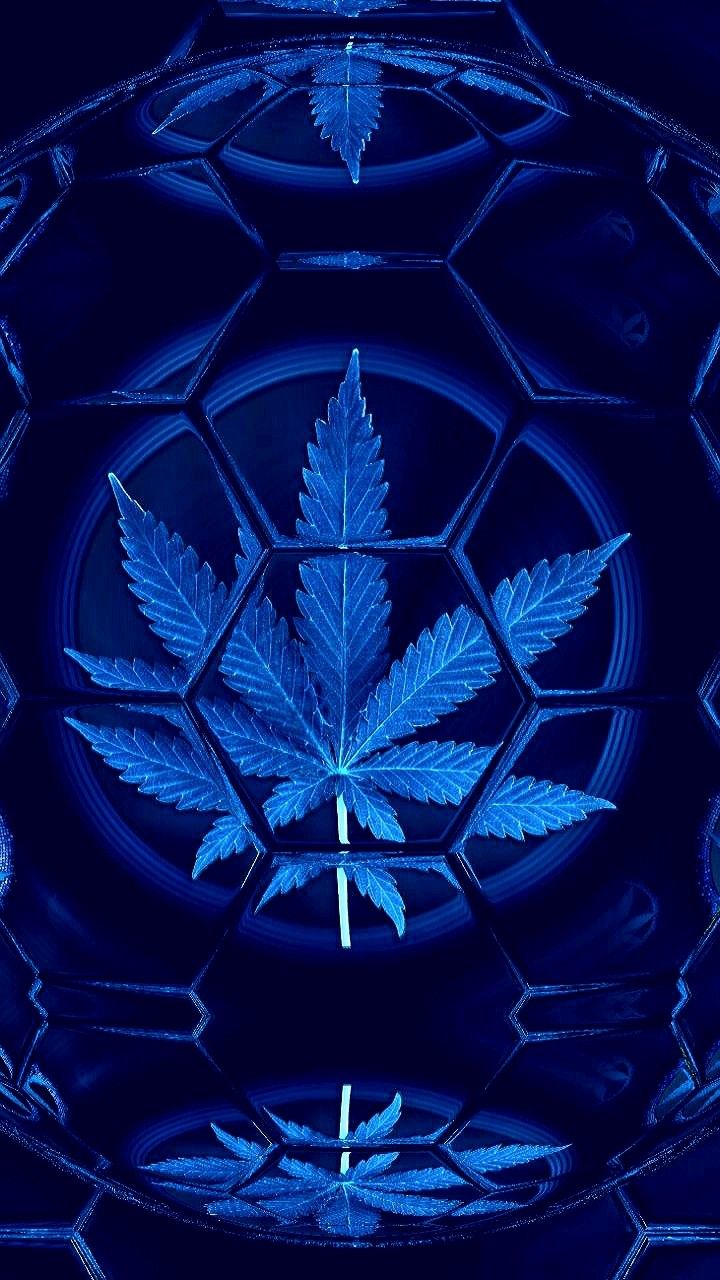 Blue Weed Wallpapers