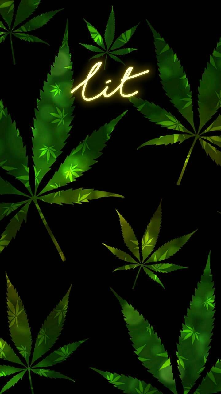 Blue Weed Wallpapers