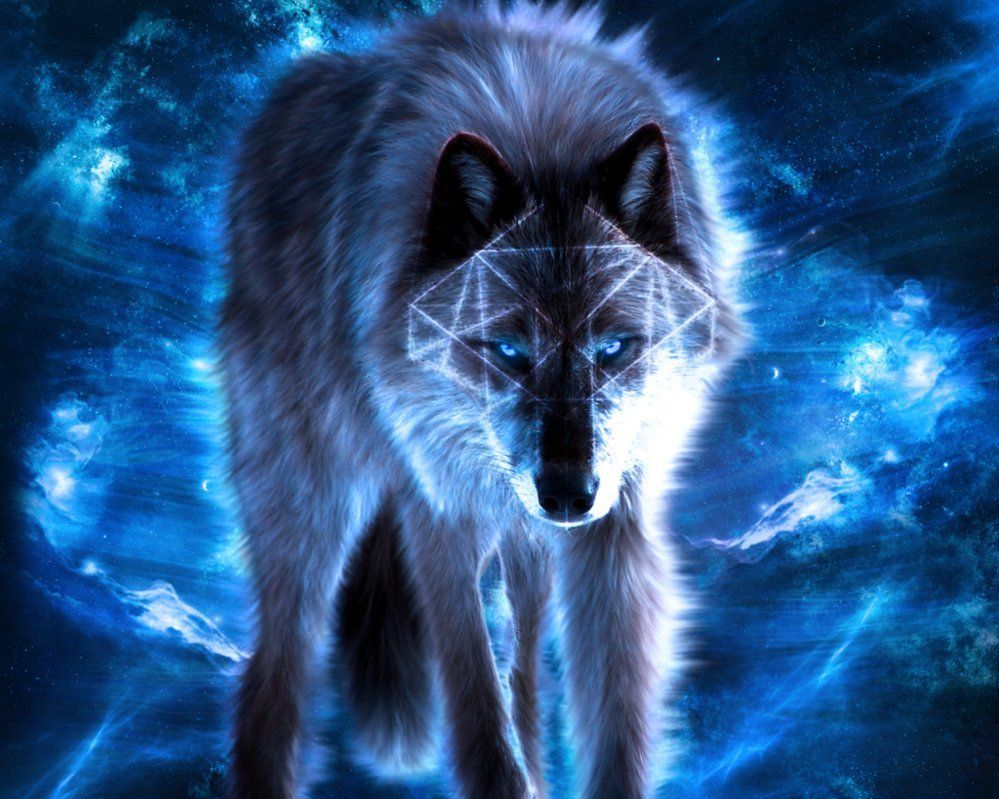 Blue Wolf Wallpapers