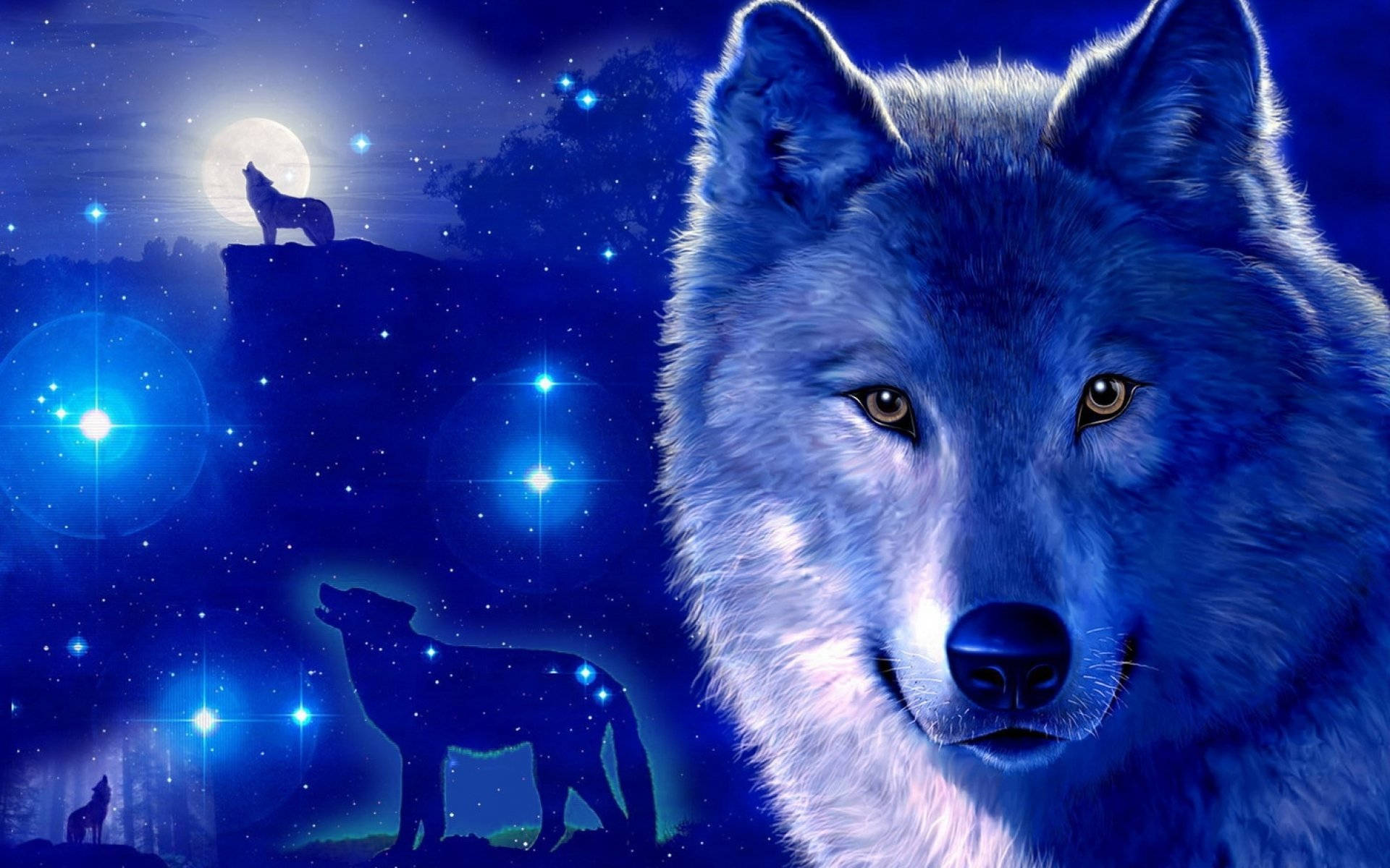 Blue Wolf Wallpapers