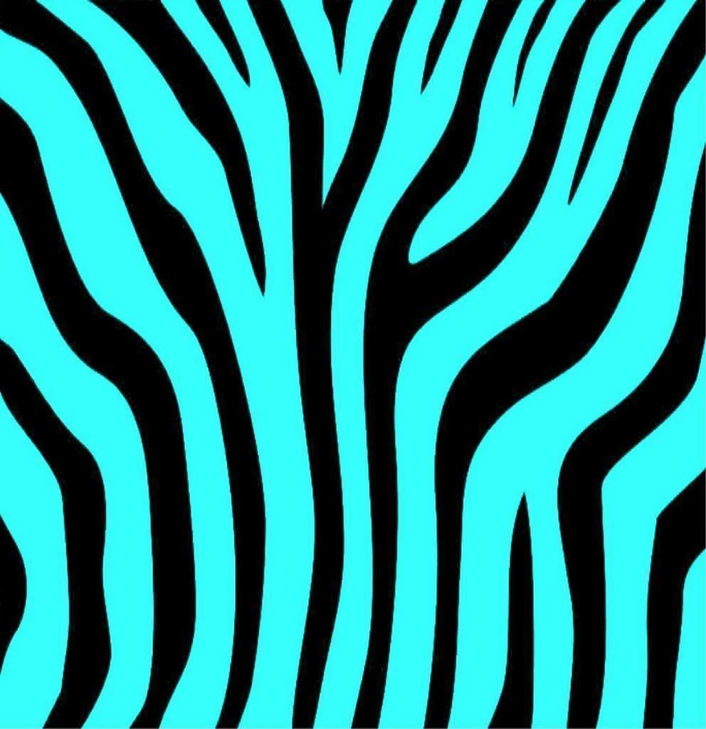 Blue Zebra Wallpapers