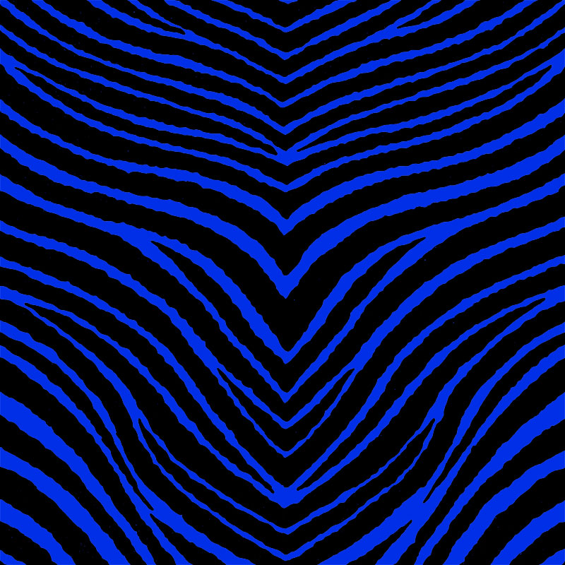 Blue Zebra Wallpapers