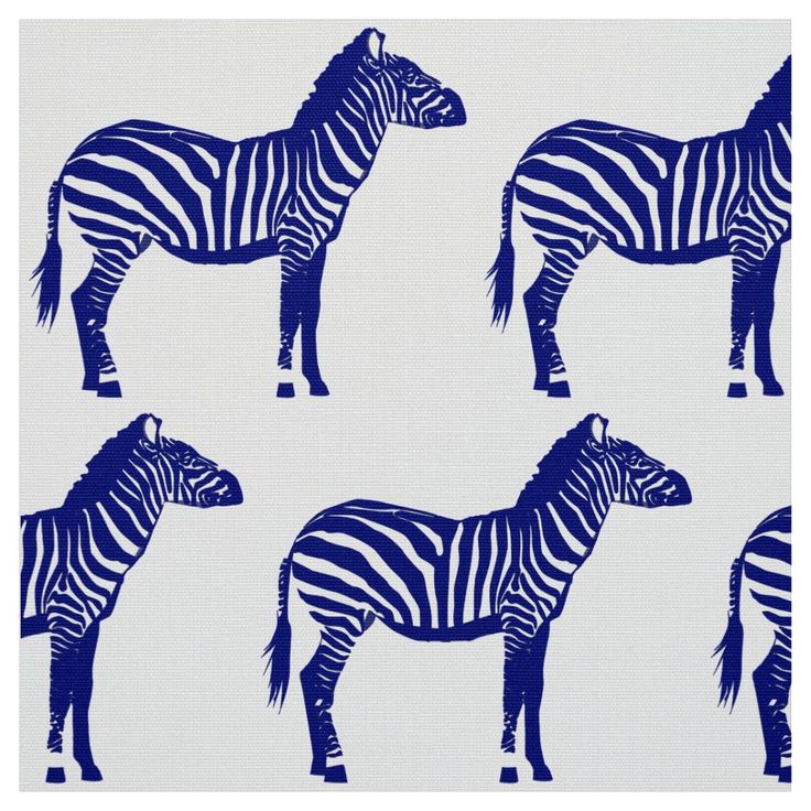 Blue Zebra Wallpapers