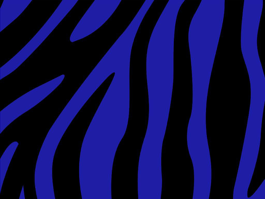 Blue Zebra Wallpapers