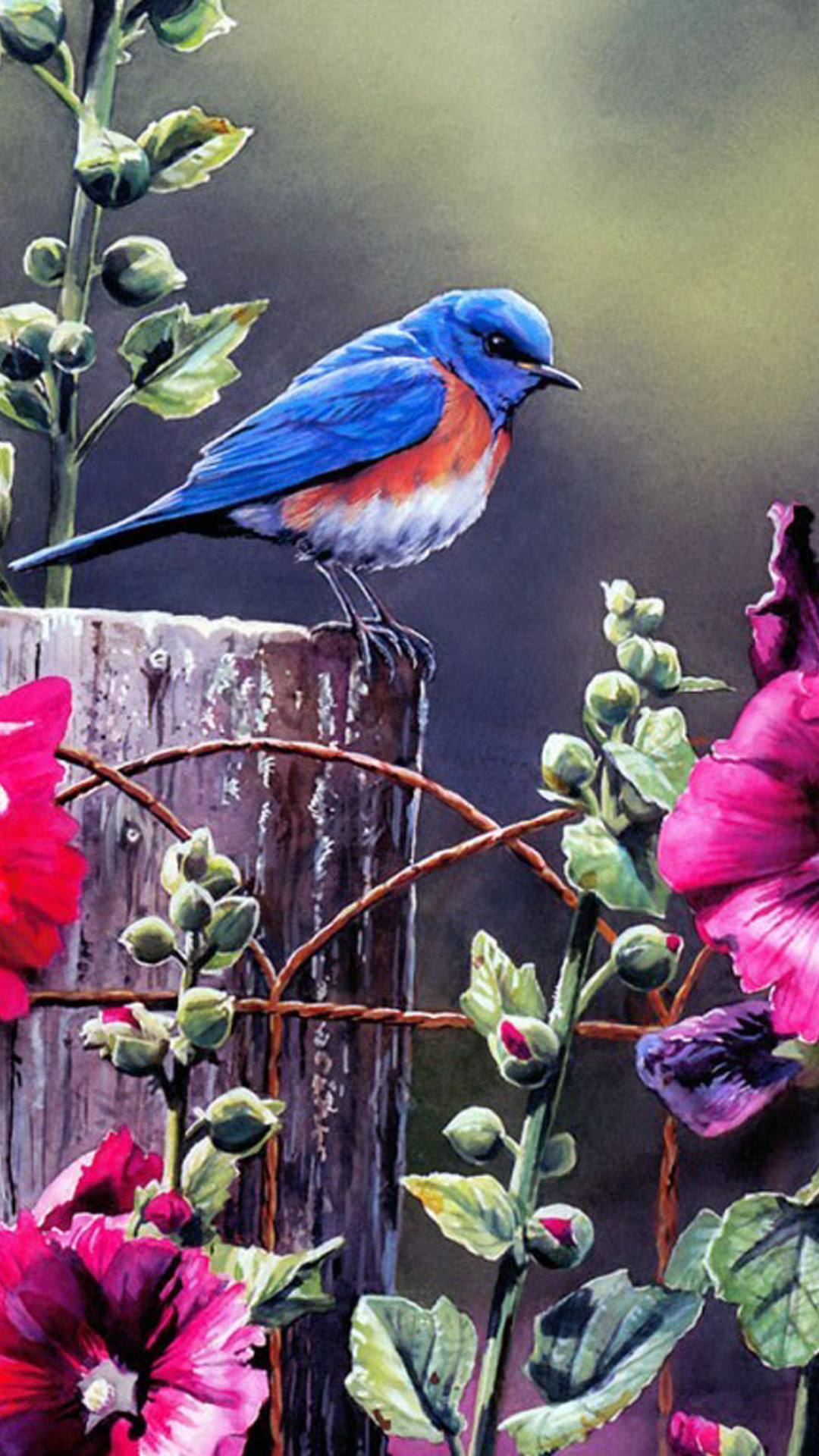 Bluebird Wallpapers