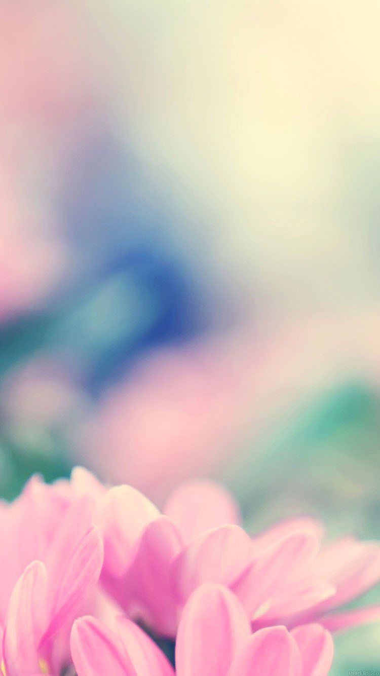 Blurred Flower Background