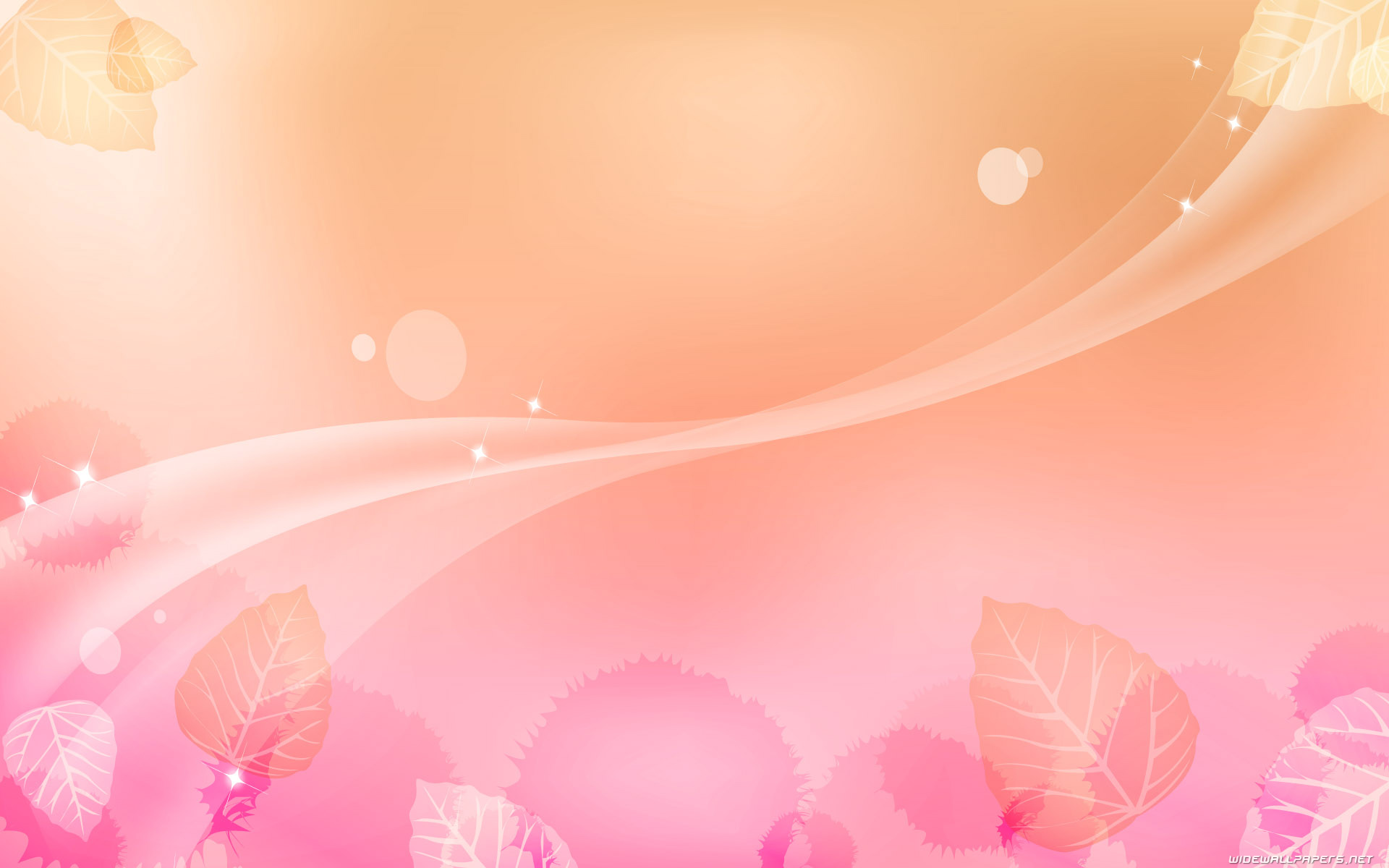 Blush Pink Background