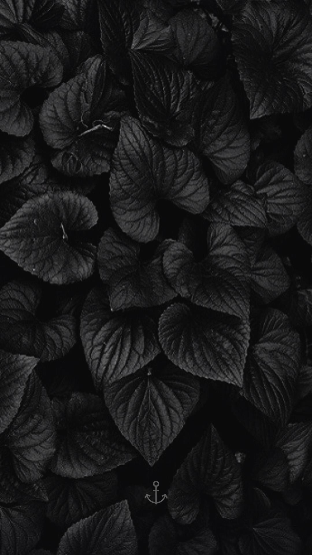 Blvck Wallpapers