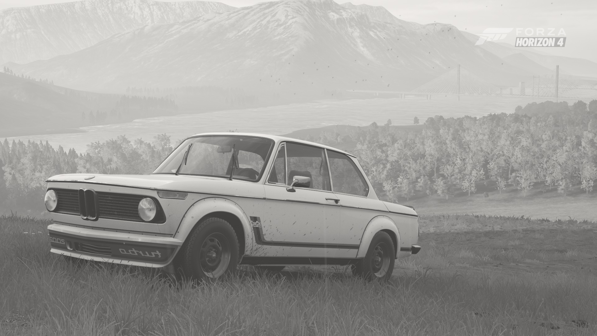 Bmw 2002 Turbo Wallpapers