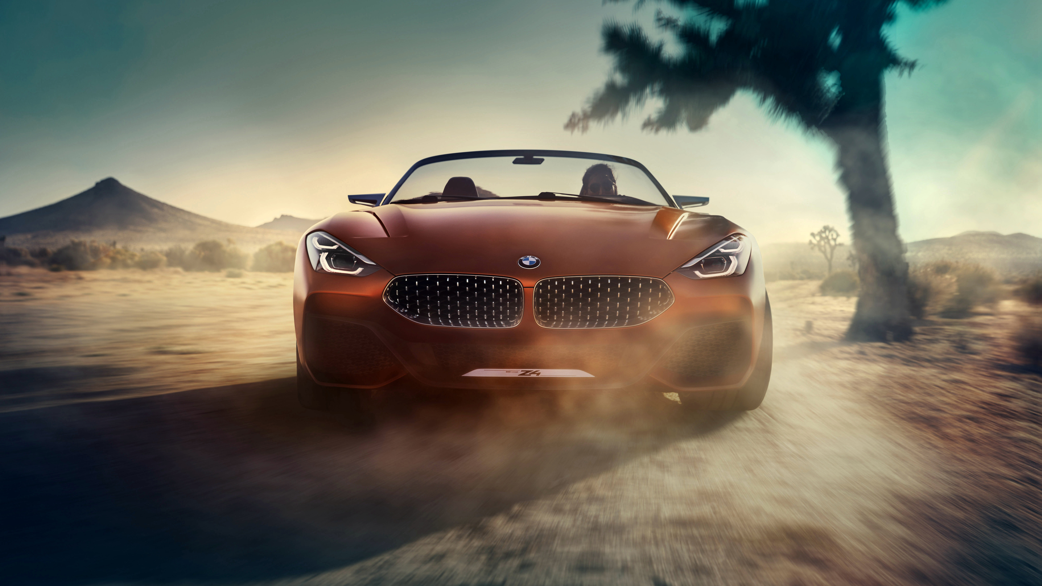 Bmw Concept Z4 2017 Wallpapers