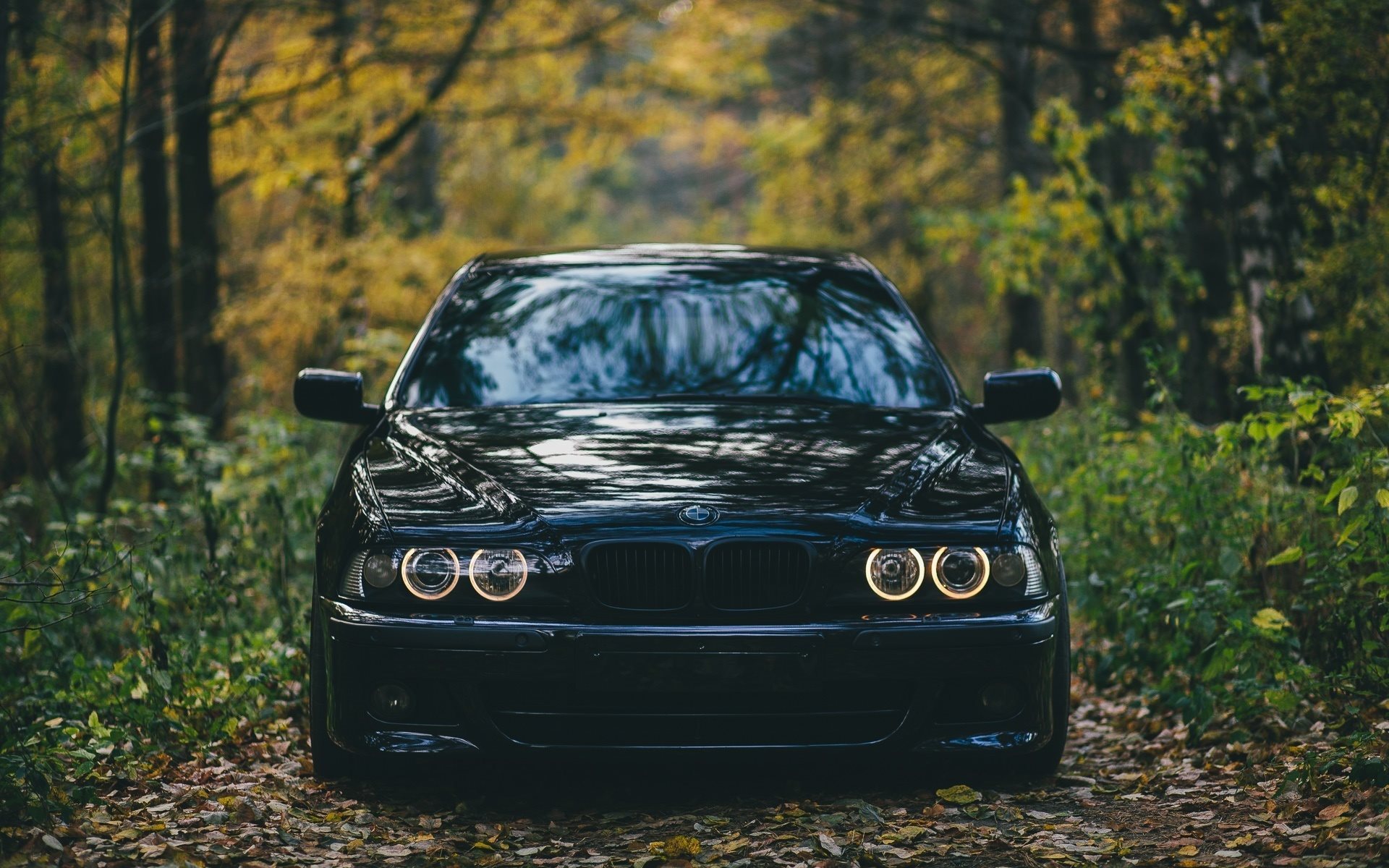 Bmw E39 Wallpapers