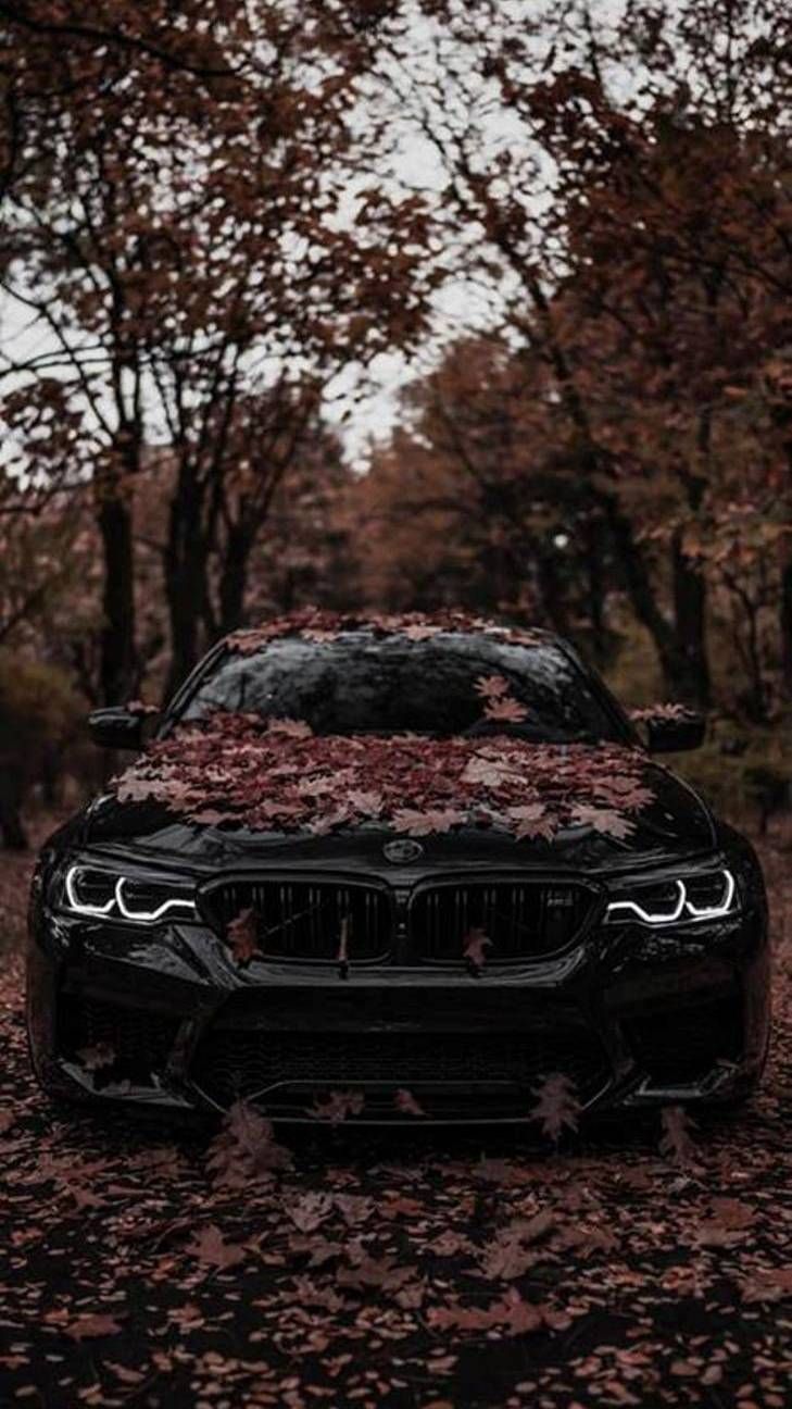 Bmw M Iphone Wallpapers