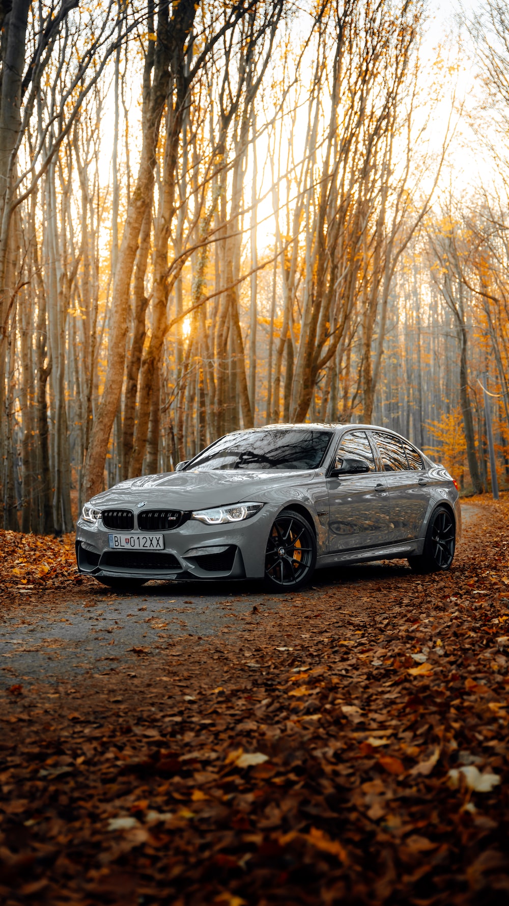 Bmw M Logo Wallpapers