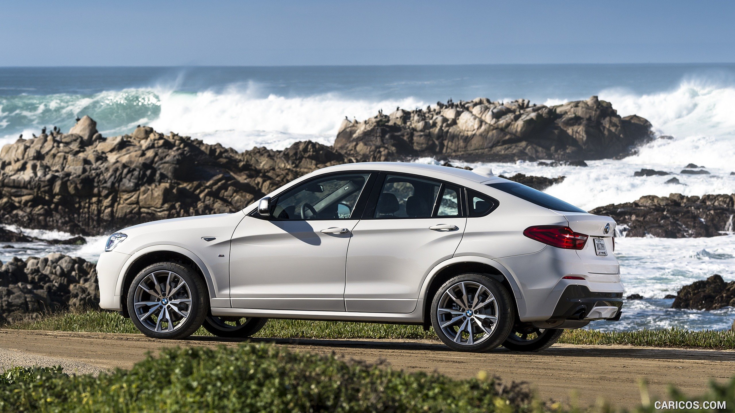 Bmw X4M Wallpapers