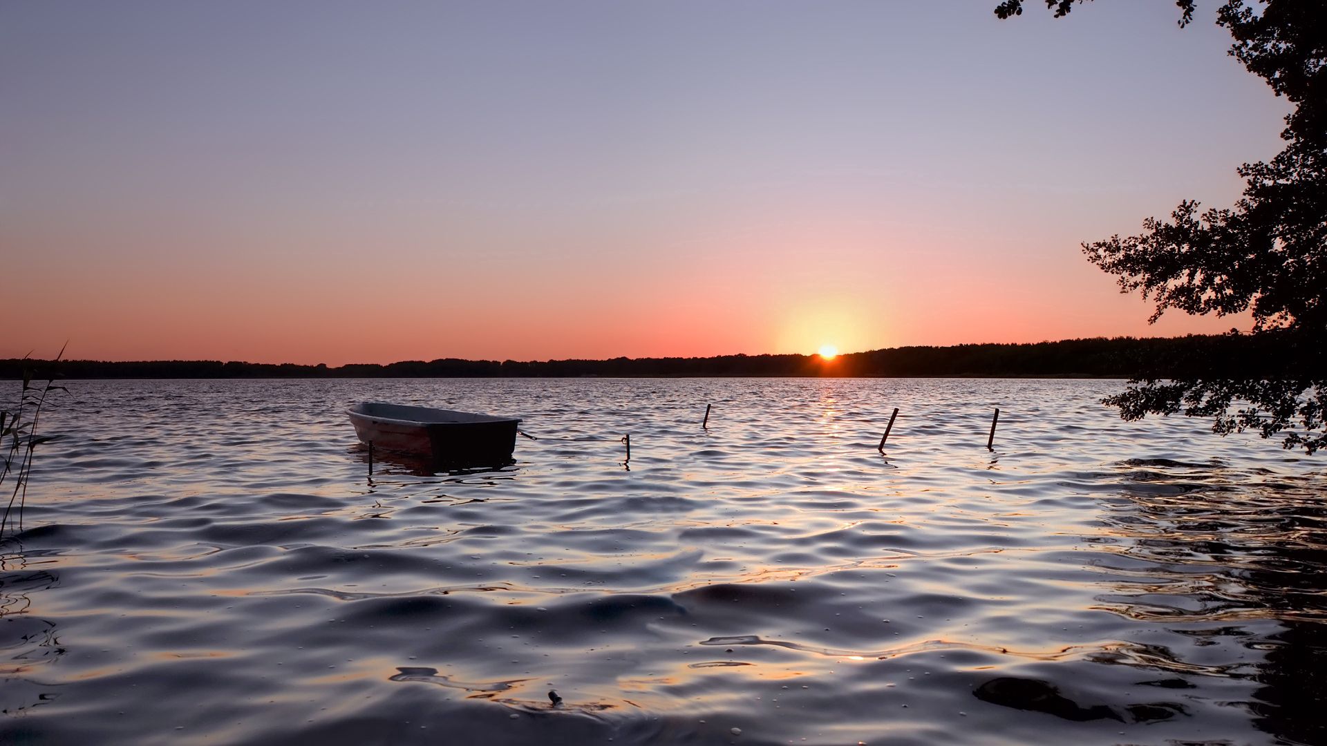 Boat In Lonely Lake Wallpapers