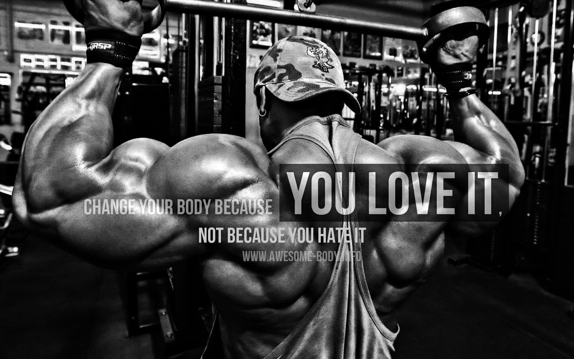 Body Builder Wallpapers