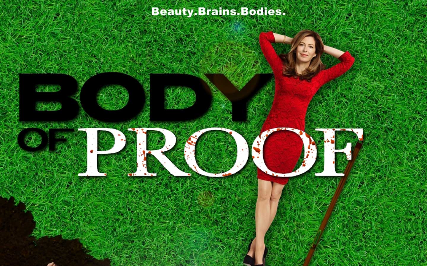 Body Of Proof Wallpapers