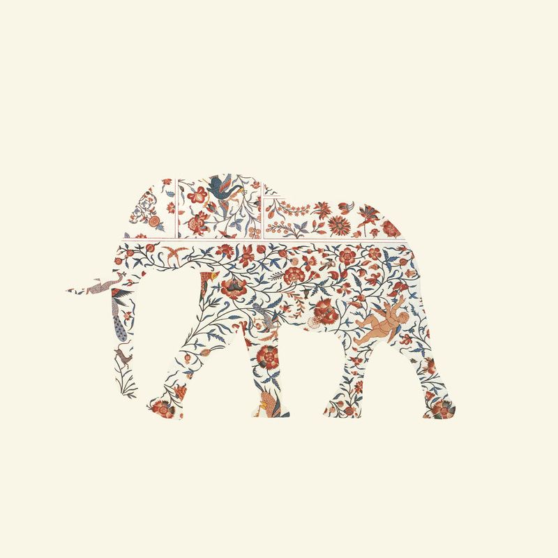 Boho Elephant Wallpapers