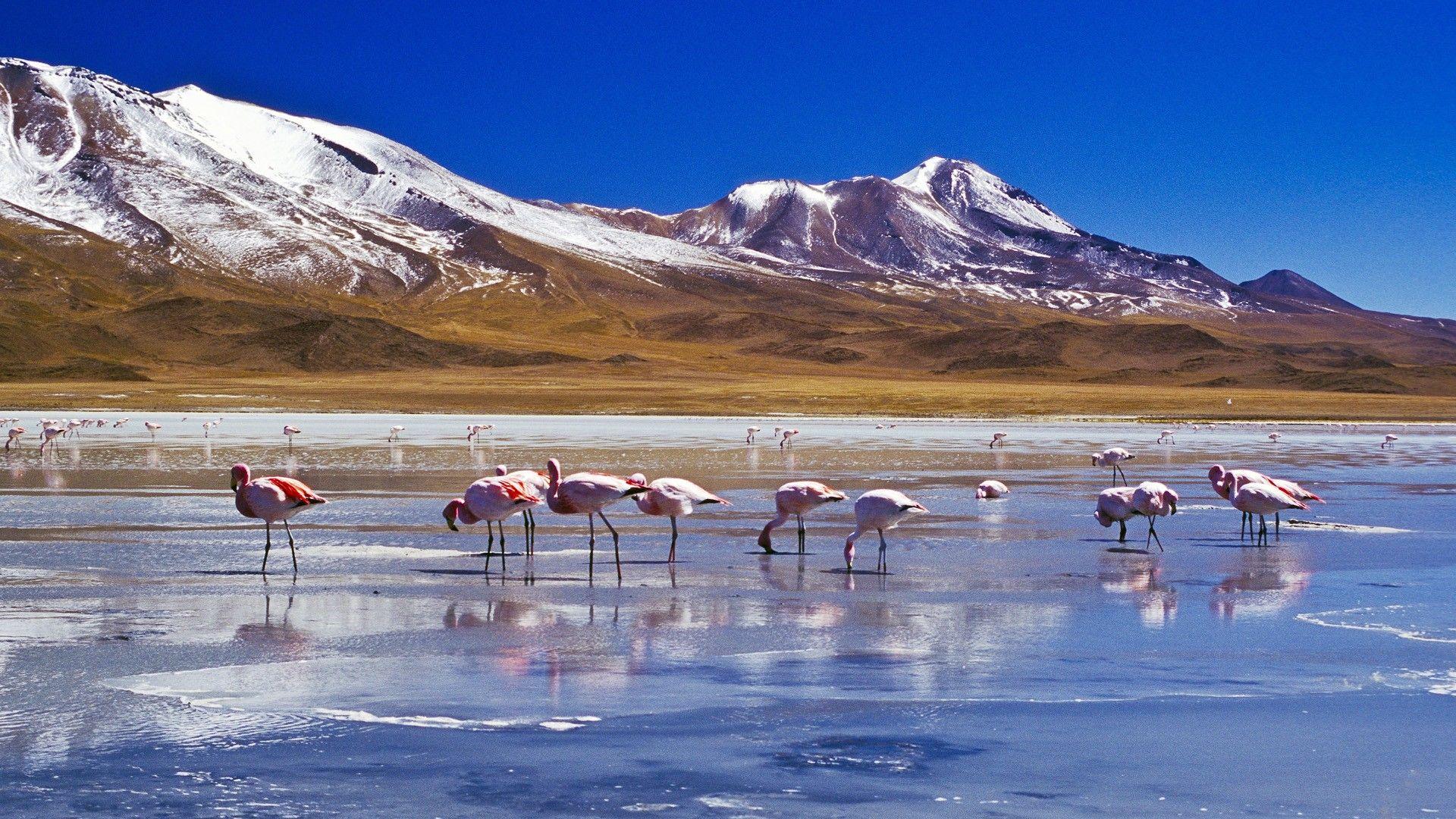 Bolivia Mountains Wallpapers