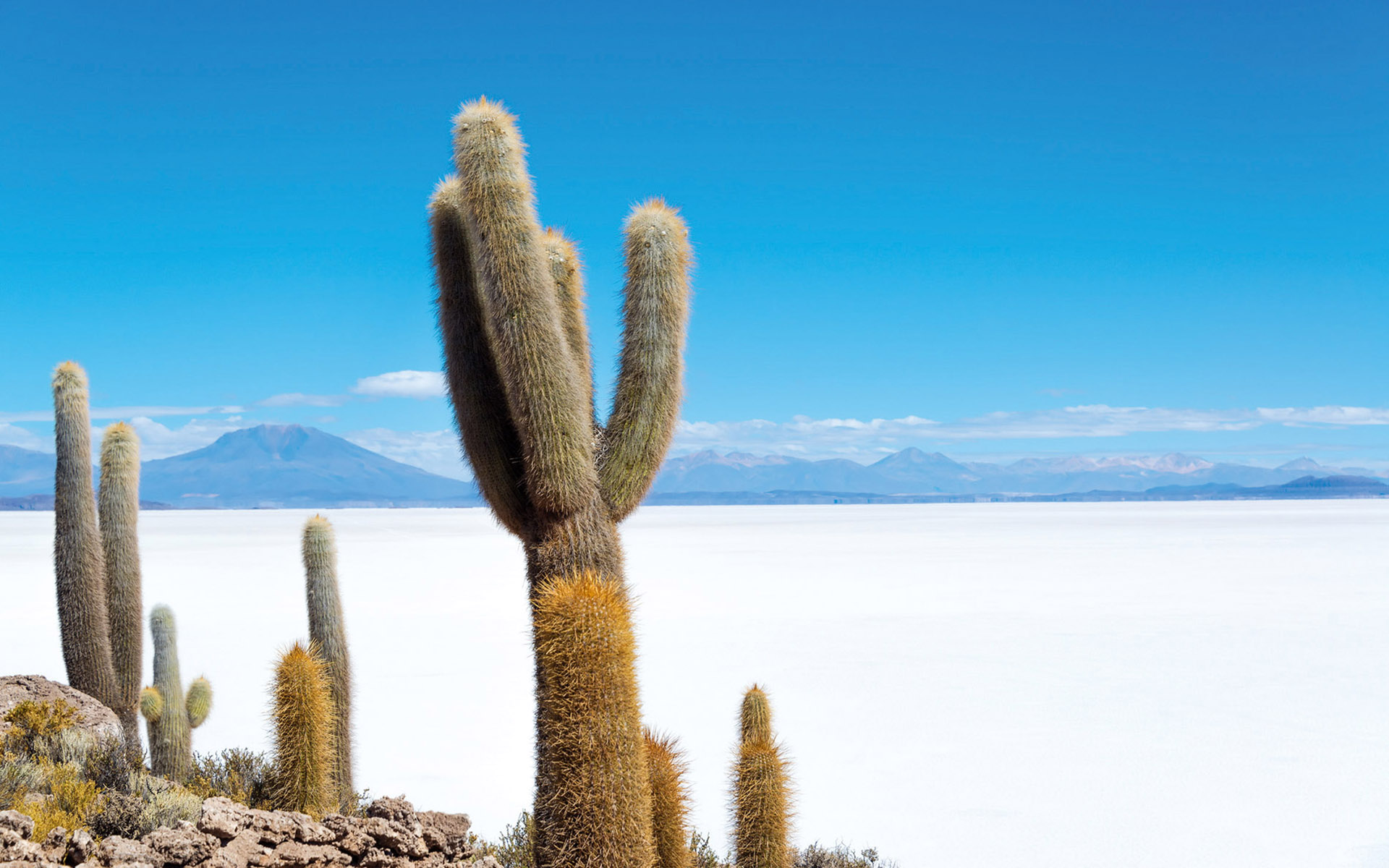 Bolivia Wallpapers