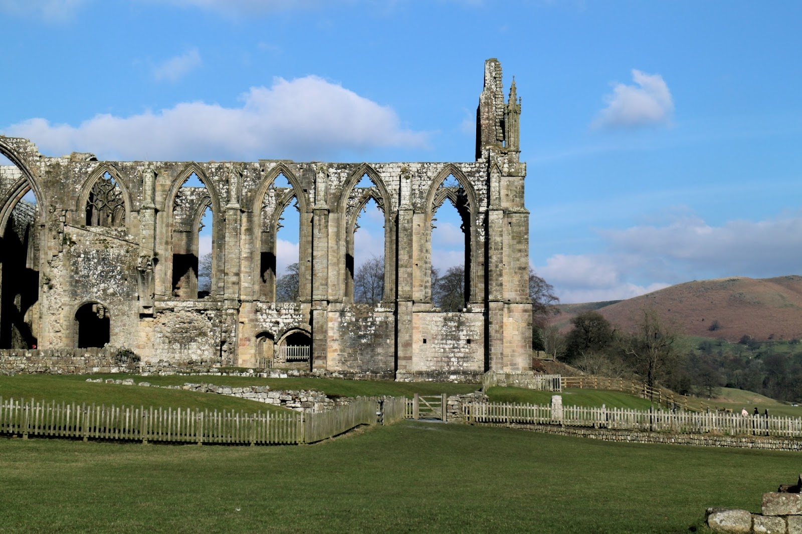 Bolton Priory Wallpapers