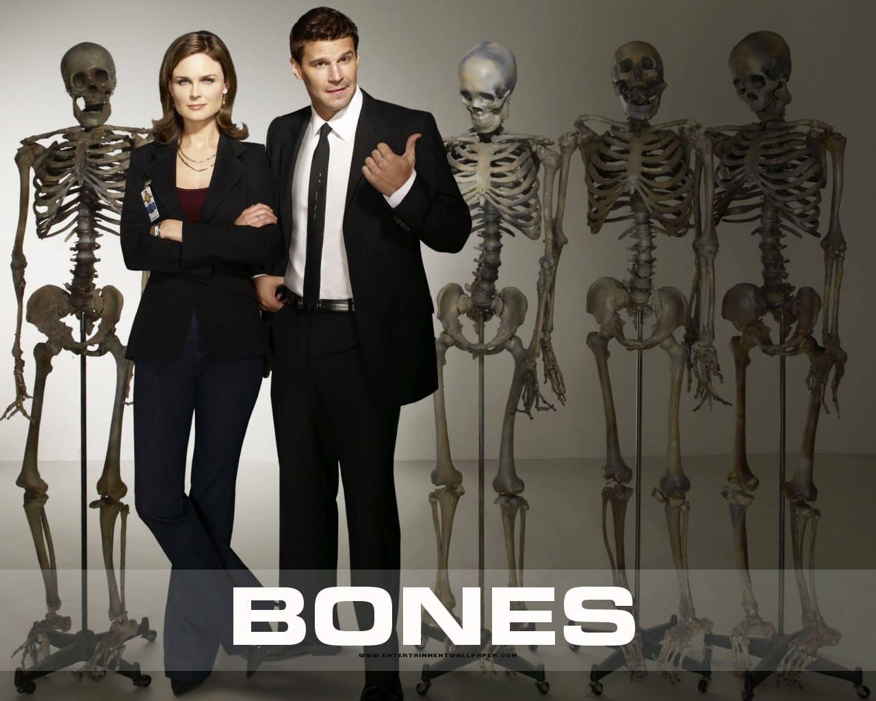 Bones Tv Show Logo Wallpapers