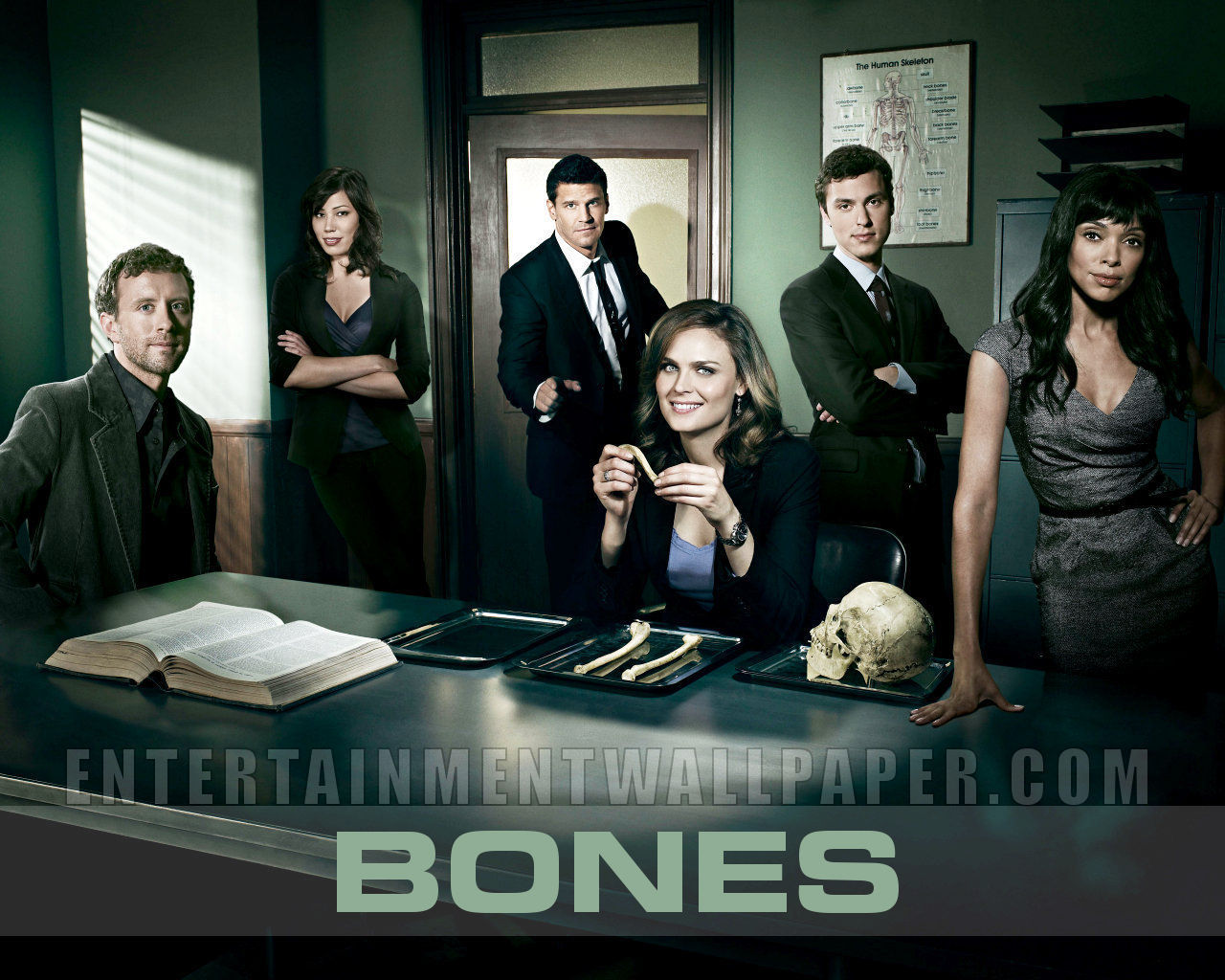 Bones Tv Show Logo Wallpapers