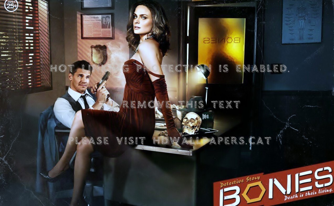 Bones Tv Show Logo Wallpapers