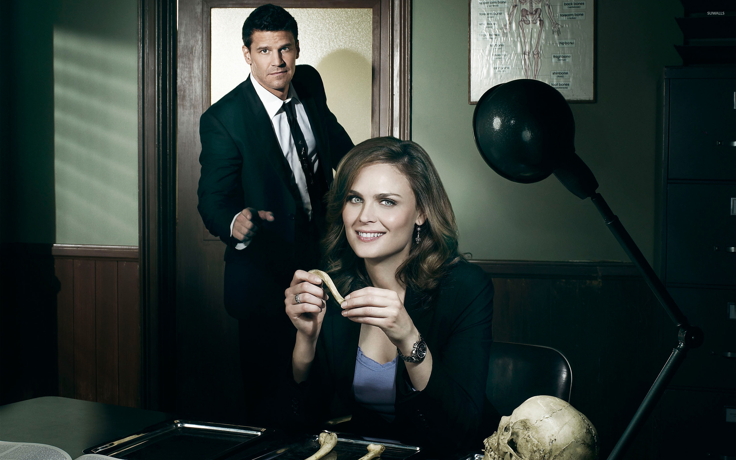 Bones Tv Show Logo Wallpapers